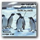 [penguenisemgunahimne.jpg]